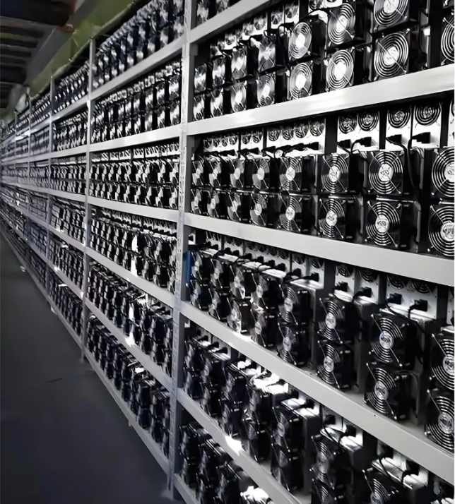 Long rows of ASIC mining machines mounted on shelves